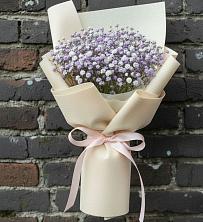 Букет цветов из:  Гипсофила в хуторе Ленина