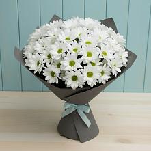 Букет цветов из:  Хризантемы #REPLACE_PRED# хуторе Ленина