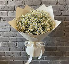 Букет цветов из:  Ромашки в хуторе Ленина