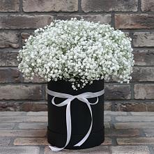 Цветочная композиция из Гипсофила в шляпной коробке в хуторе Ленина