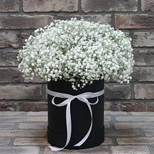 Цветочная композиция из Гипсофила в шляпной коробке в хуторе Ленина