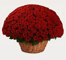 Премиум букет из: Розы в хуторе Ленина